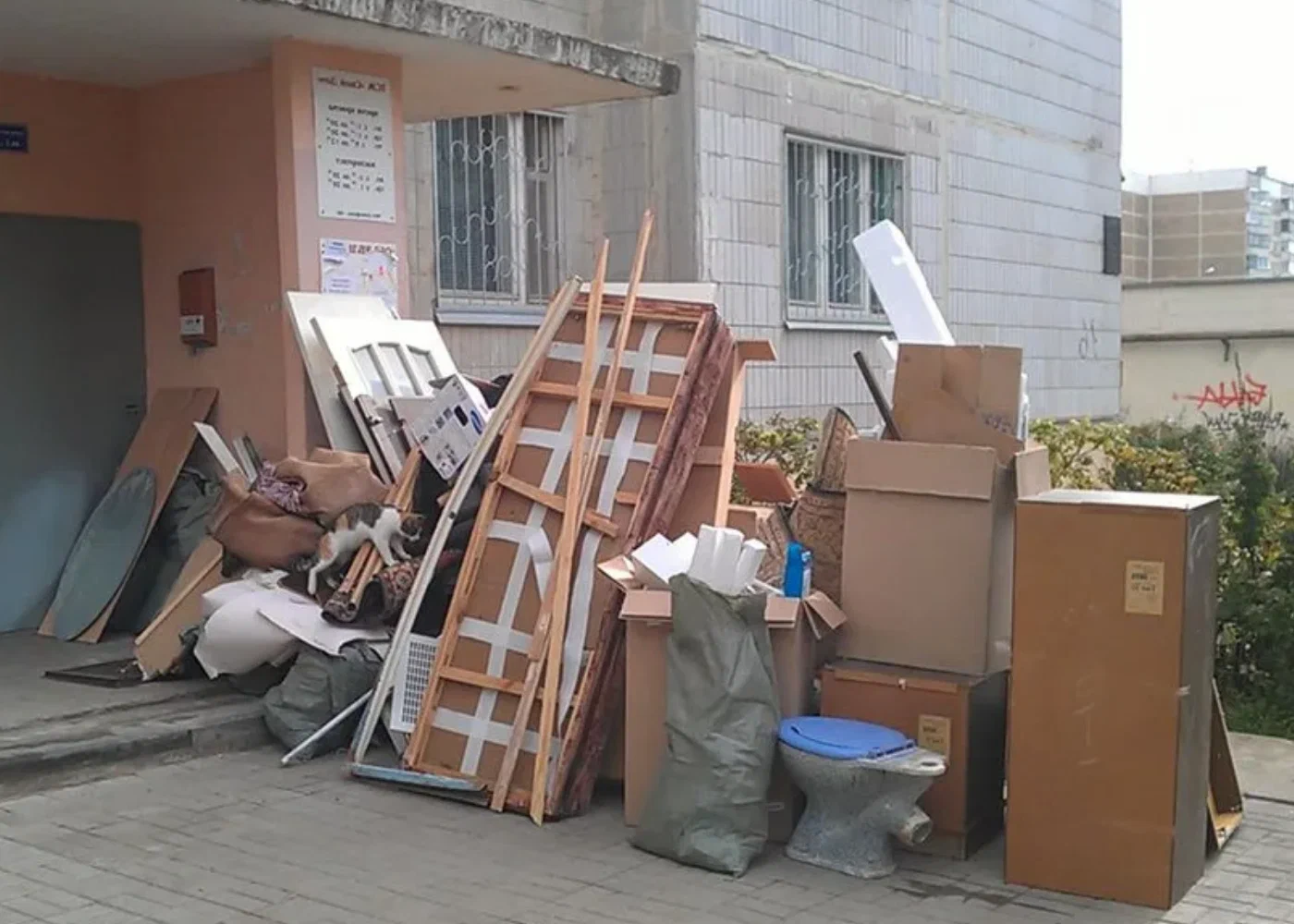 Профессиональный вывоз мусора из квартиры в Переславле-Залесском в октябре