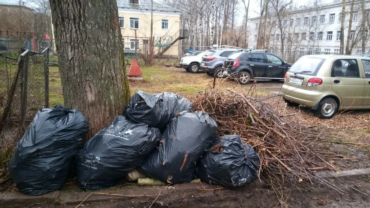 Вывоз мусора после субботника в Переславле-Залесском от ПроМусор – уборка и утилизация отходов от 2439 руб