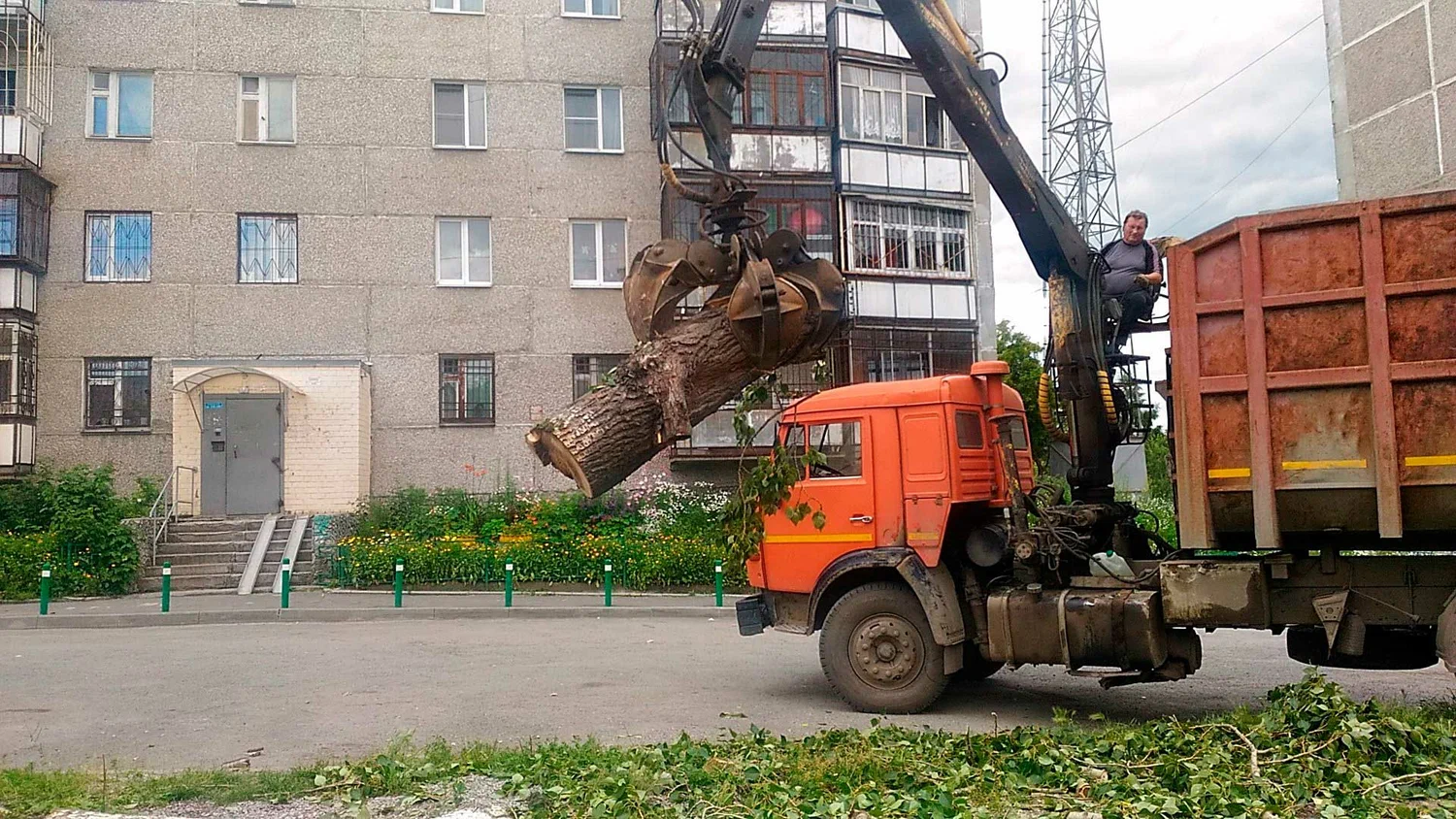 Вывоз спиленных веток и деревьев в Переславле-Залесском от ПроМусор: порубочные остатки, утилизация, цена от 3010 руб