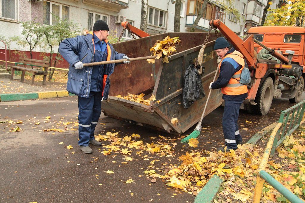 Вывоз опавшей листвы и растительного мусора в Переславле-Залесском от ПроМусор – цена от 4671 руб., быстрая уборка и утилизация